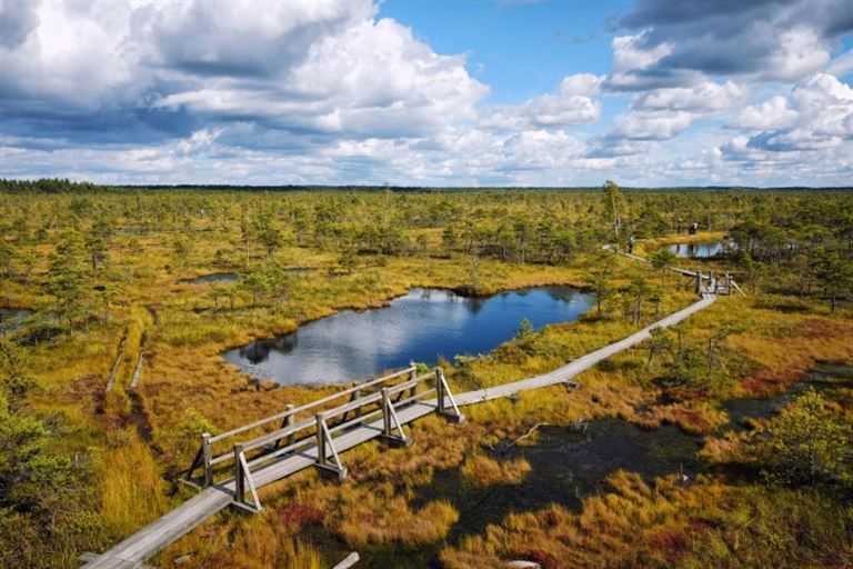 Entspanntes Wandern im Baltikum – Rundreise