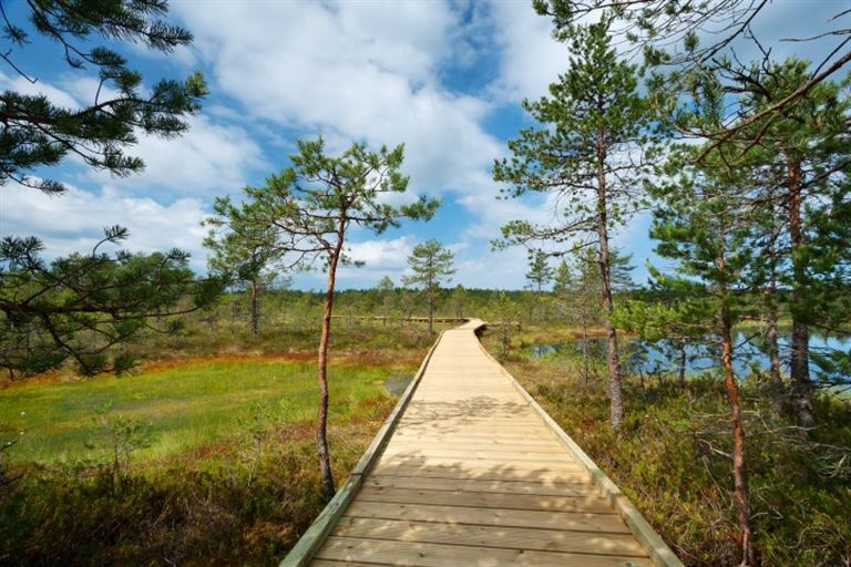 Die ausführliche Baltikum-Reise – Rundreise
