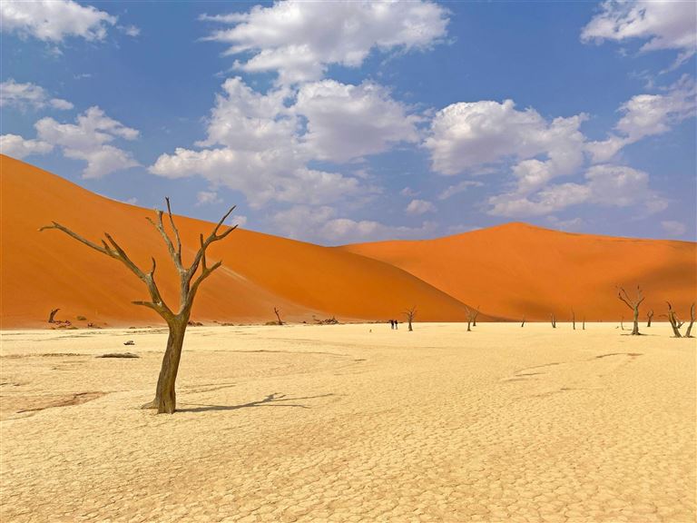 Zwischen Sossusvlei und Etosha © by DIAMIR Erlebnisreisen GmbH