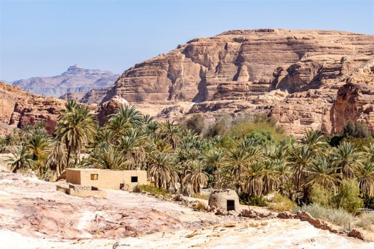 Sinai: Eremit auf Zeit im Beduinengarten – Rundreise