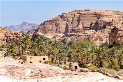 Sinai