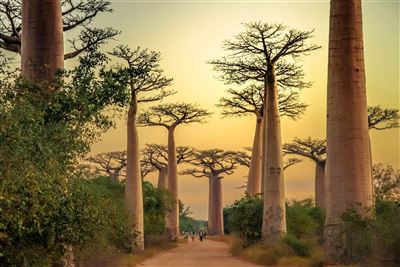 Ost-Madagaskar