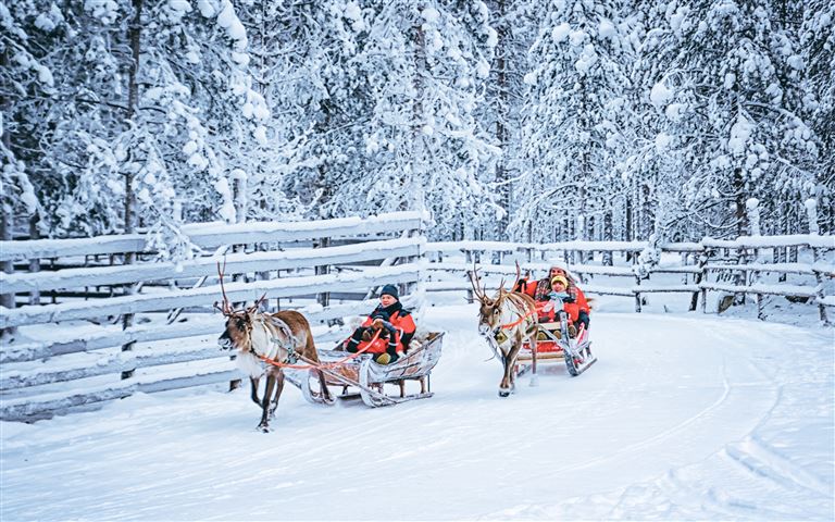Winterzauber am Polarkreis ©Roman Babakin /adobestock