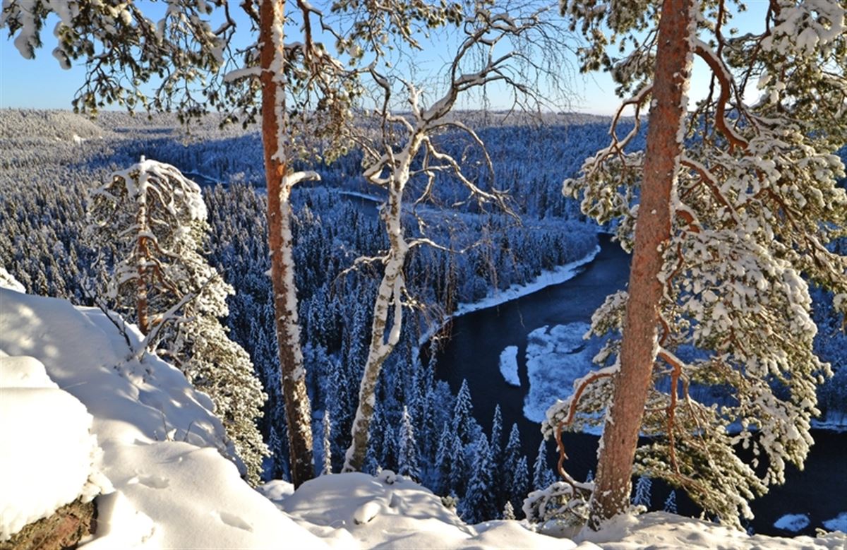 Ruka Safari River