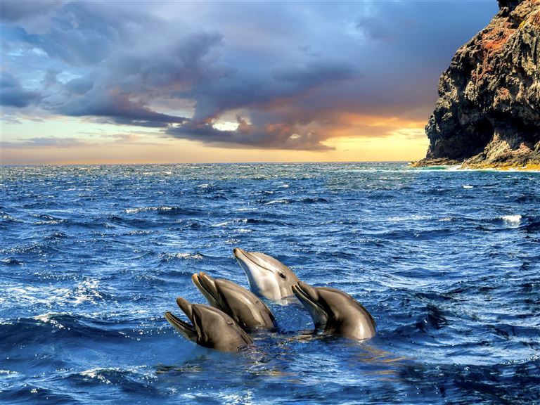 Baden auf Teneriffa & Atlantikinseln entdecken – Rundreise