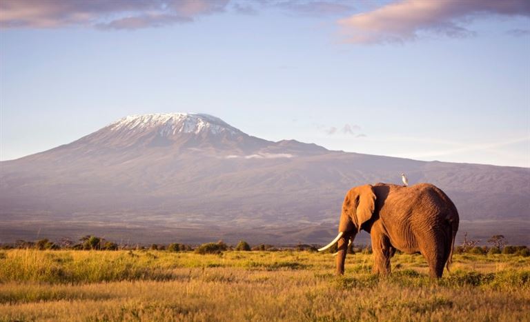 Von der Masai Mara an den Indischen Ozean @WLDavies/istock