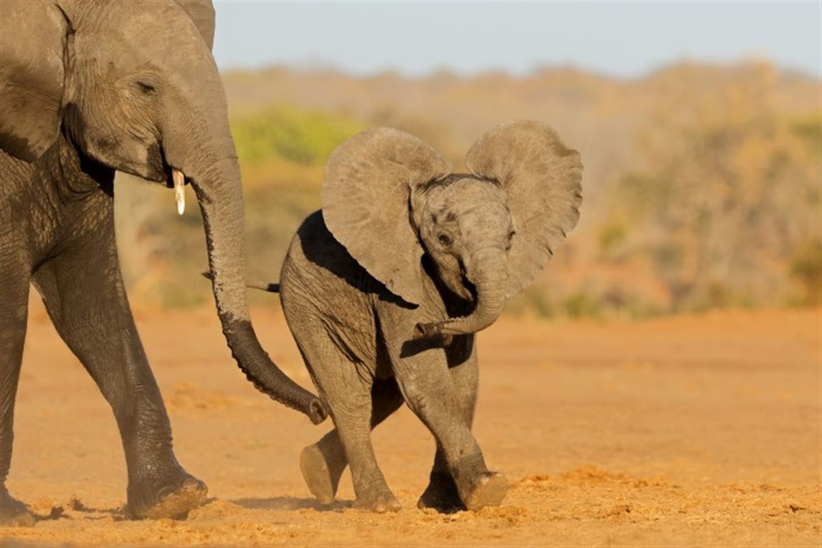 Botswana