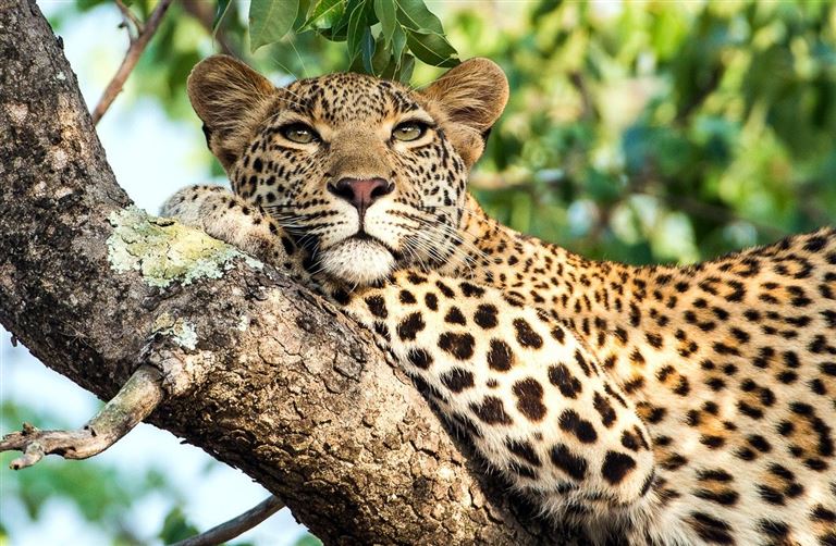 Madibas Vermächtnis © by DIAMIR Erlebnisreisen GmbH