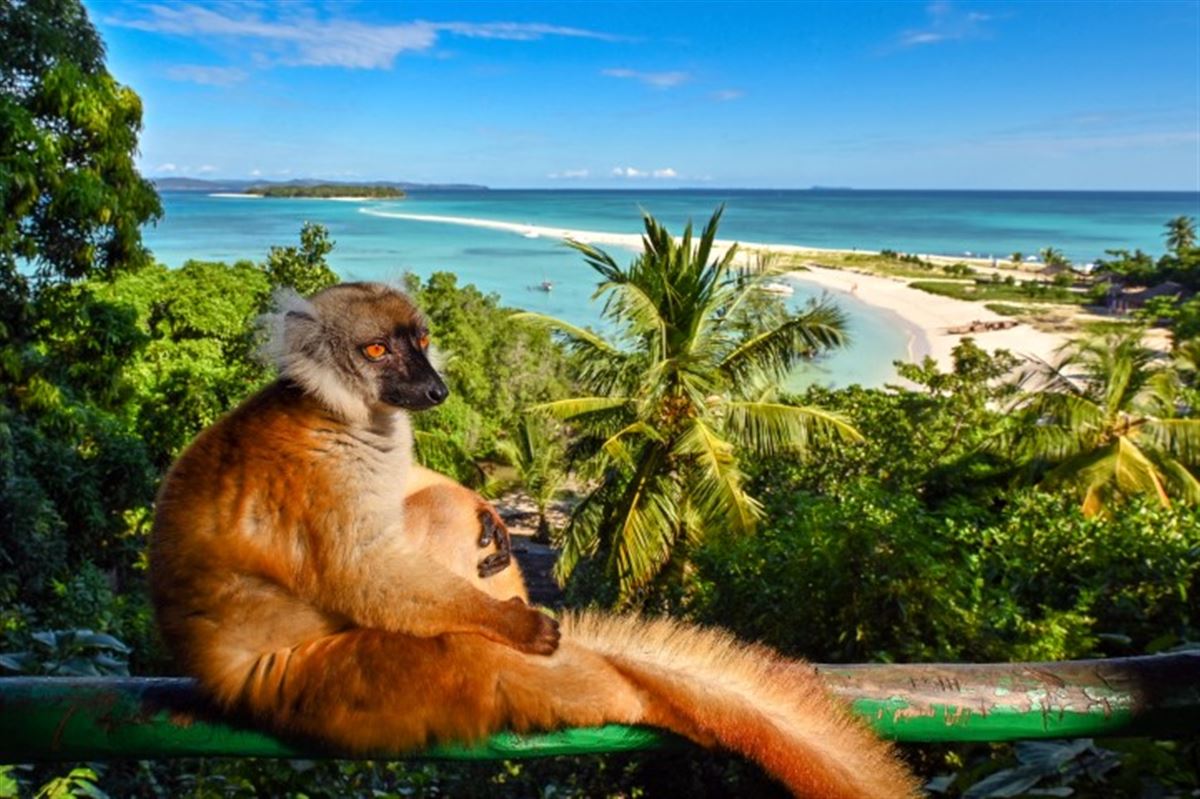 Madagaskar