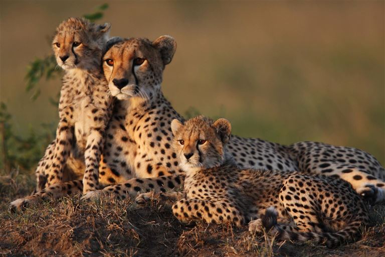 Safari-Abenteuer trifft Bade-Paradies © by Berge & Meer Touristik GmbH