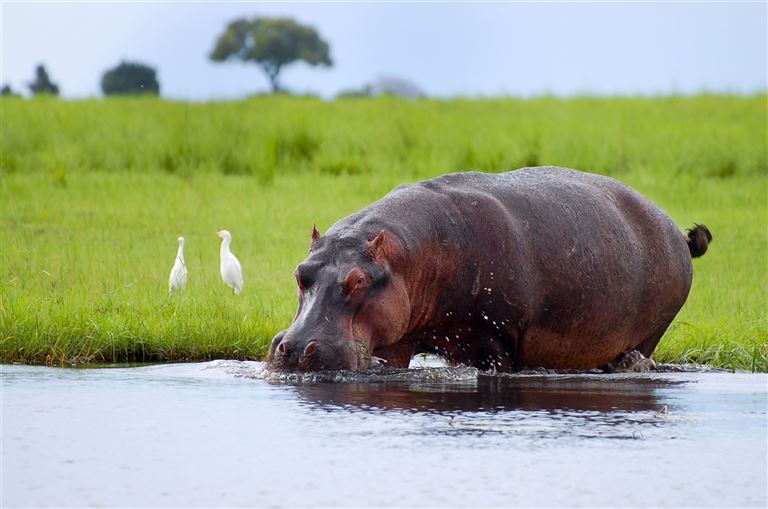 Limpopo – Rundreise