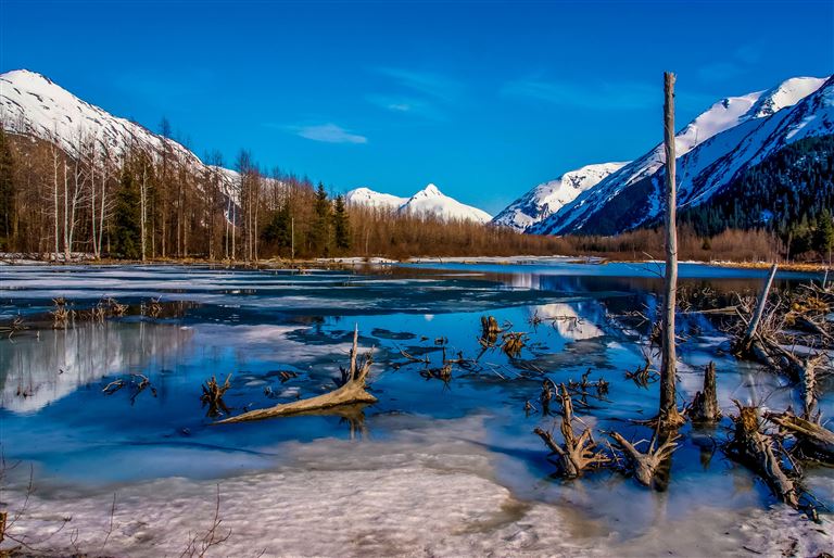 Durch den Yukon zur Gletscherwelt Alaskas © by Berge & Meer Touristik GmbH