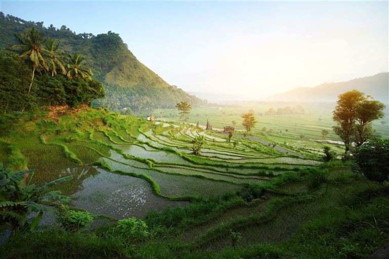 Asiens Vielfalt erleben - von Singapur bis Bali © by Berge & Meer Touristik GmbH