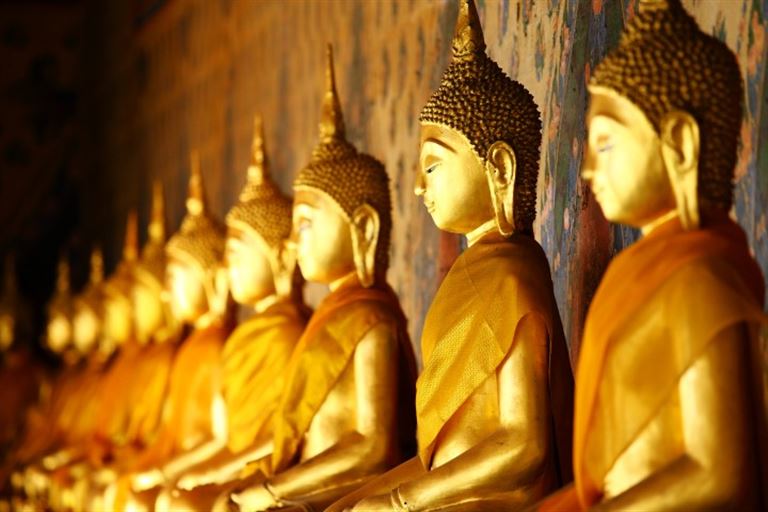 Sri Lanka für Singles und Alleinreisende – Rundreise