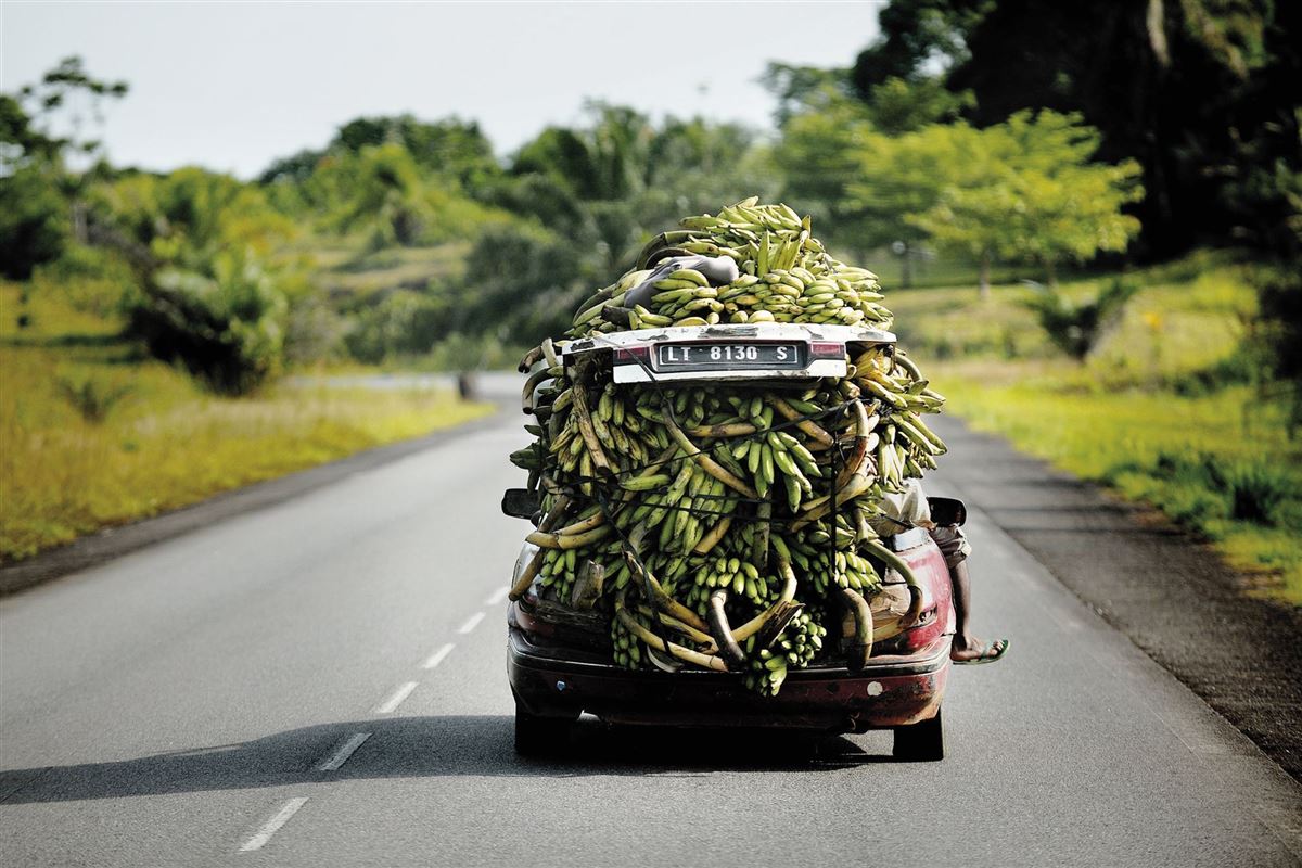 Bananentransporter