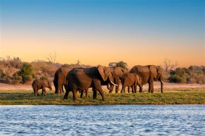 Naturschätze im südlichen Afrika – Rundreise