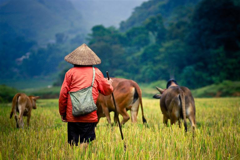 Vom Mekong bis zum Traumstrand © by Berge & Meer Touristik GmbH