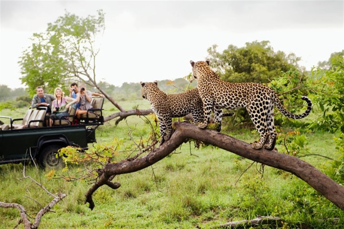 Südafrika