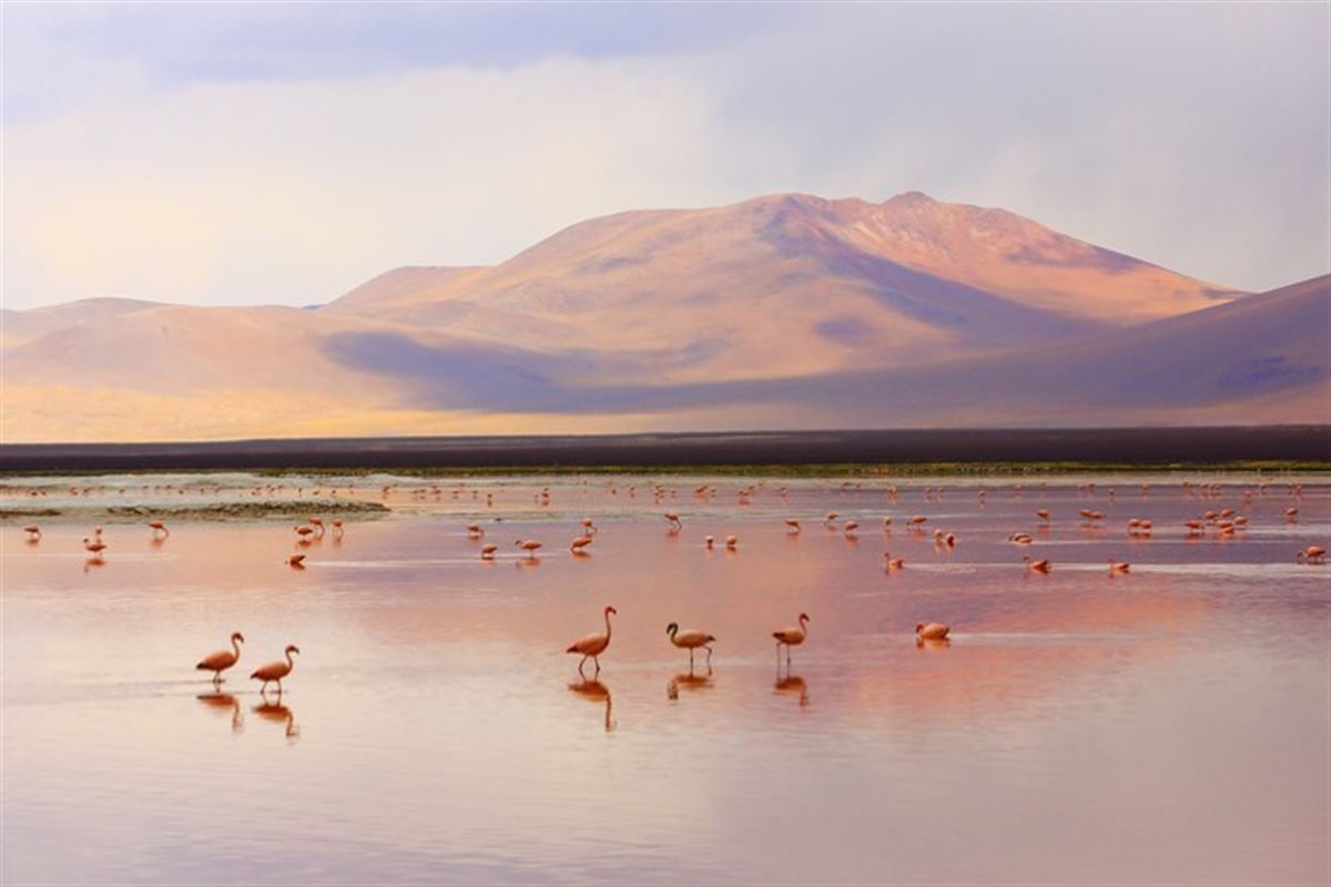 Bolivien