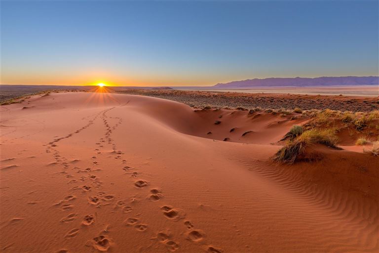 Magische Naturmomente zwischen Etosha und Namib © by Berge & Meer Touristik GmbH