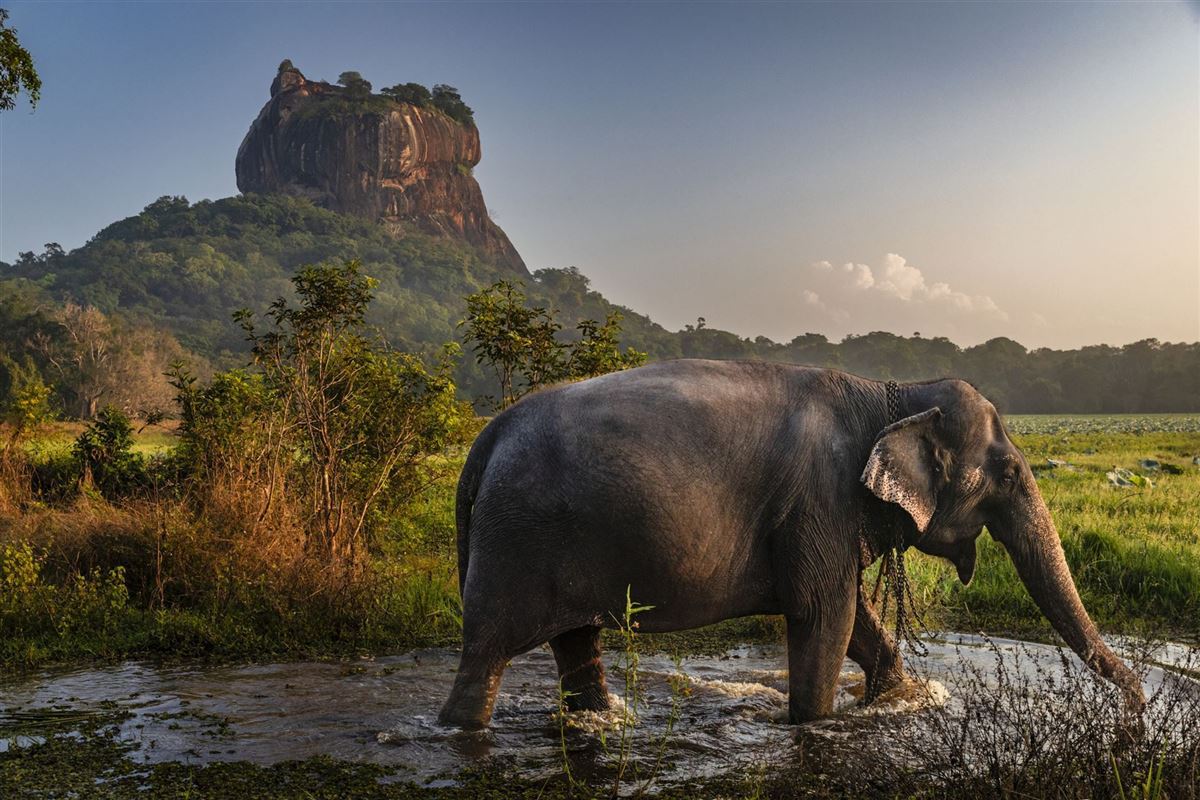 Sri Lanka