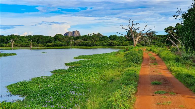 Sri Lanka Classic  – Rundreise