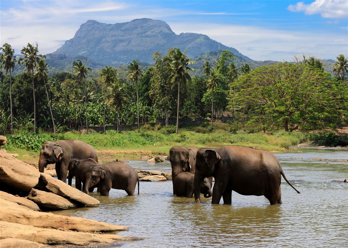 Sri Lanka