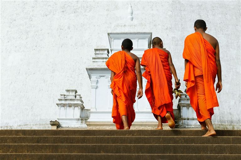 Sri Lanka hautnah erleben – Rundreise