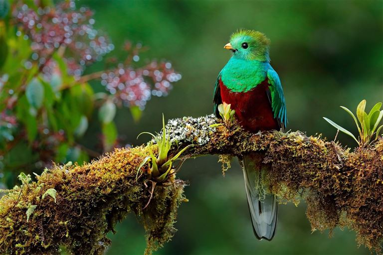 Costa Rica - Aktiv & Relax – Rundreise