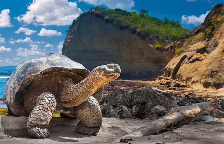 Ecuador und Galápagos - ein Land voller Wunder © by Gebeco