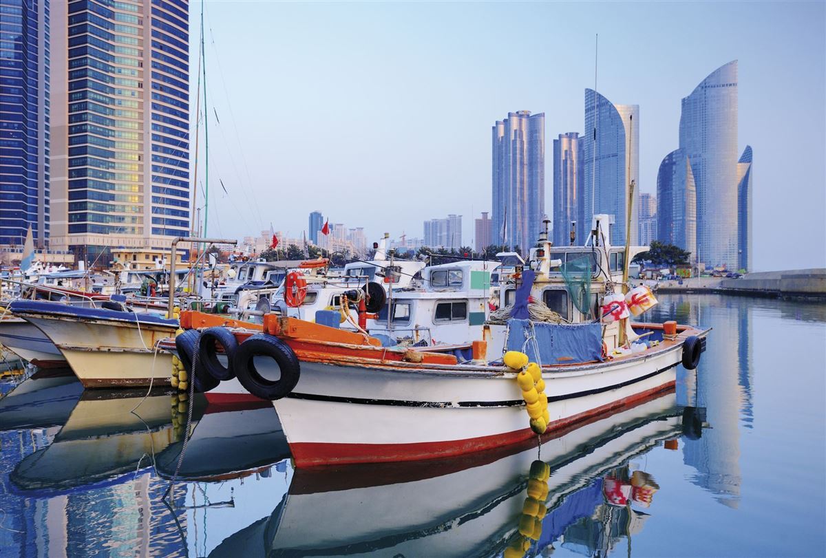 Fischerboote im Hafen von Busan
