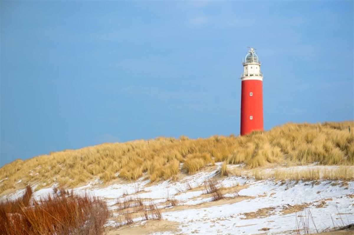 Texel