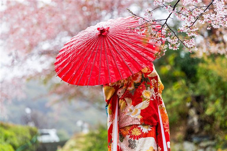 Japan Ginkgo – Rundreise