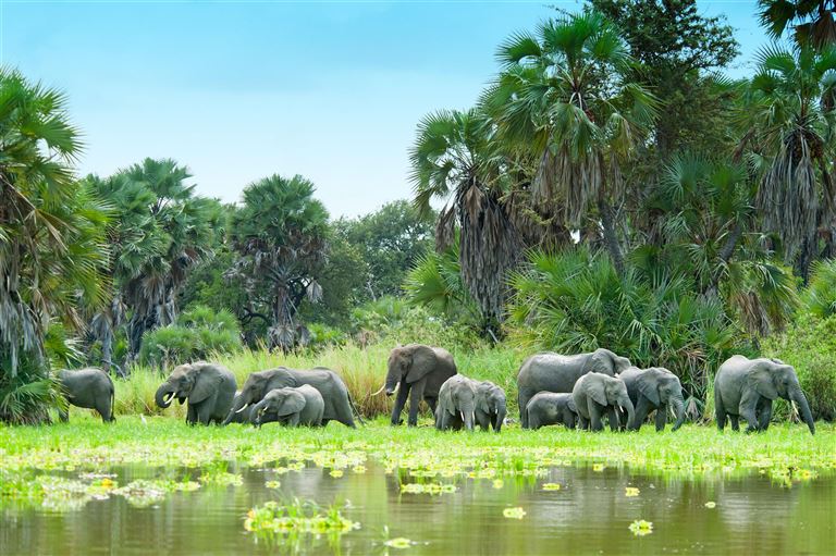 Unvergessliche Safari-Momente und Inselträume © by Berge & Meer Touristik GmbH