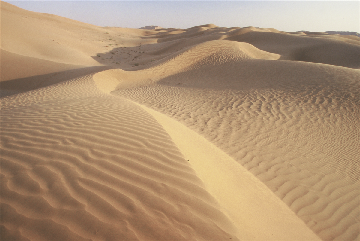 Wahiba Sands