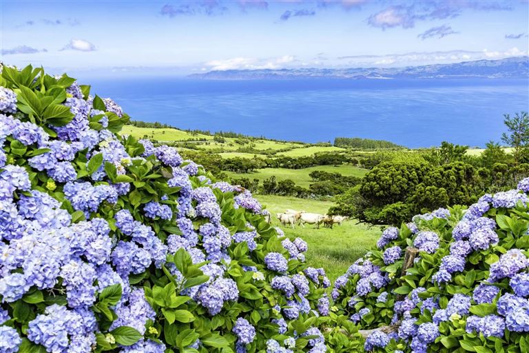 Von Insel zu Insel © by Wolters Reisen