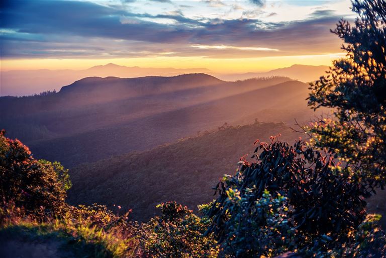 Sri Lankas kulturelle Höhepunkte und das Hochland  – Rundreise