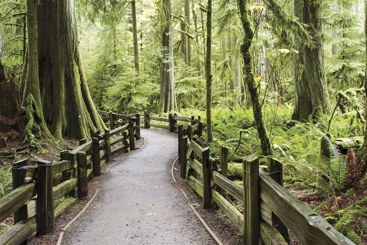 Unterwegs auf Vancouver Island