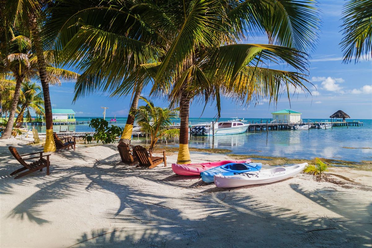 Palmen und Strand auf der Insel Caye Caulker