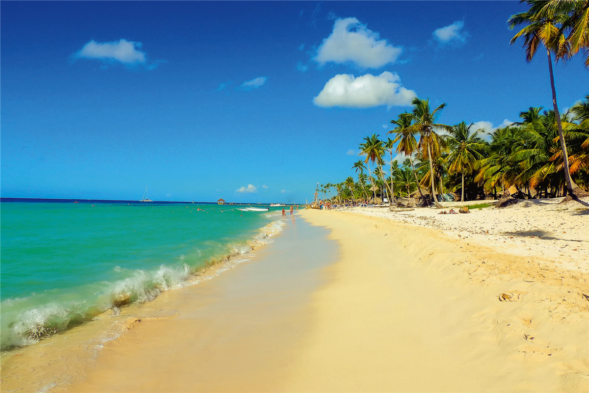 exotischer Sandstrand mit hohen Palmen