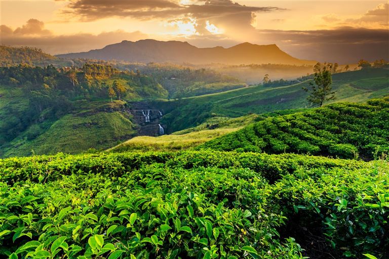 Sri Lanka hautnah erleben – Rundreise