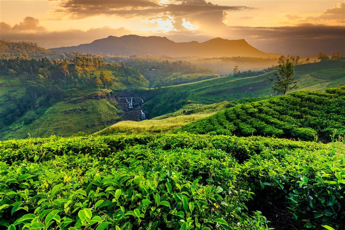 Sri Lanka