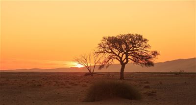 Gondwana Collection: Bilderbuch Namibia – Rundreise