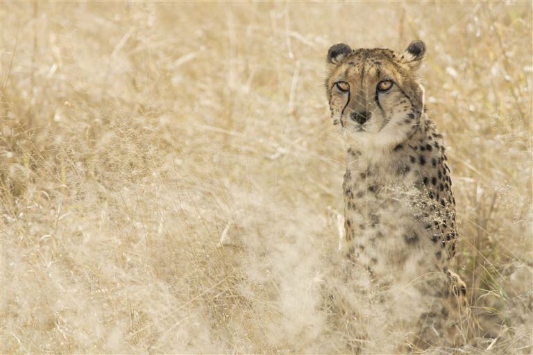 Magisches Namibia – Rundreise