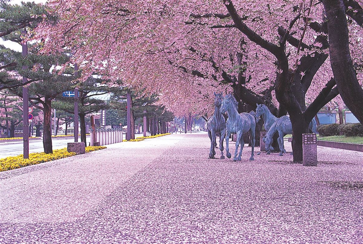 Kanchogai Dori (Pferdestraße) in Towada
