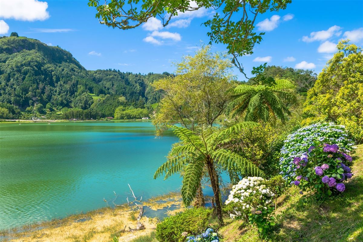 Sao Miguel Lagoa das Furnas