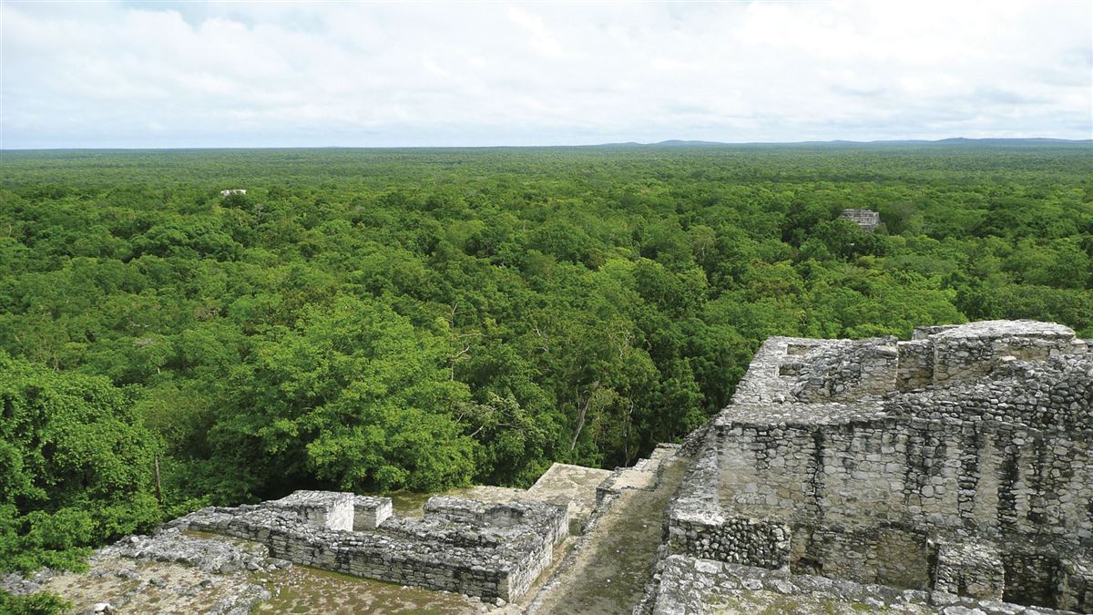 Blick von den Dschungel-Ruinen in Calakmul