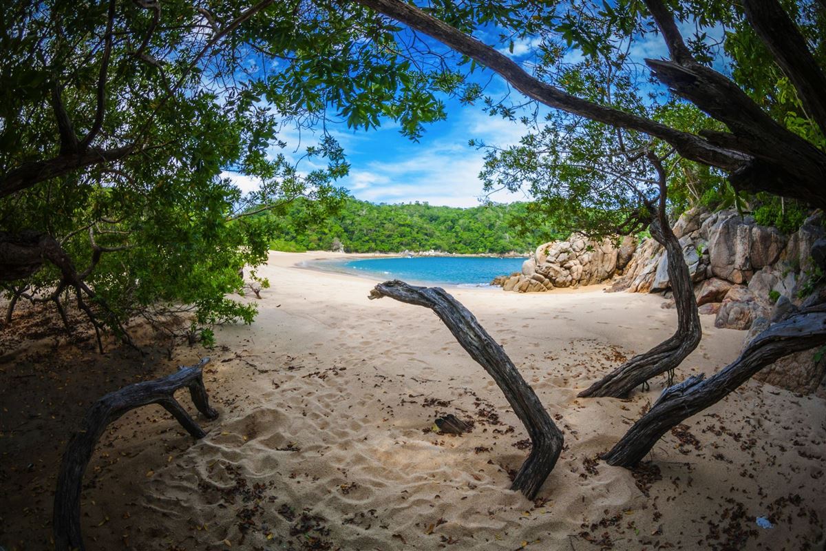 Dschungel und Strand in den Buchten von Huatulco