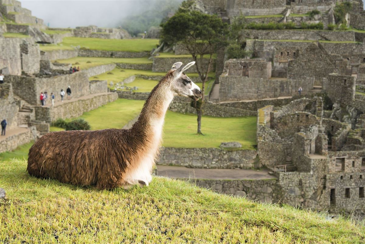 Begegnungen in Machu Picchu