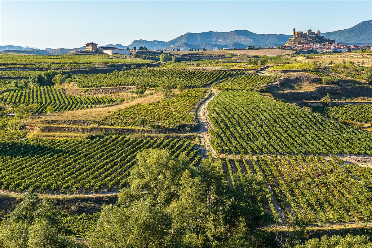 La Rioja